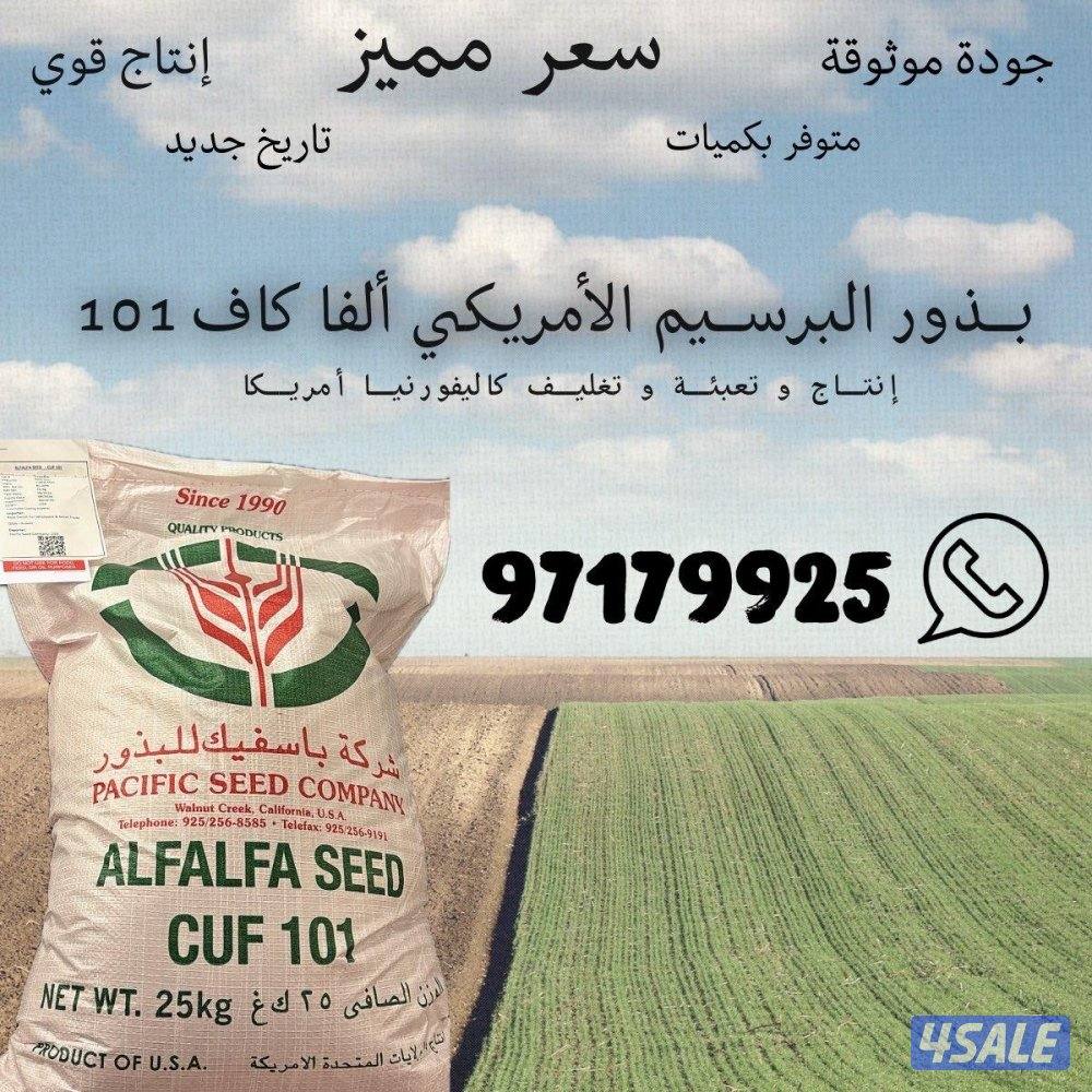 بذور برسيم باسفيك كاف ١٠١0