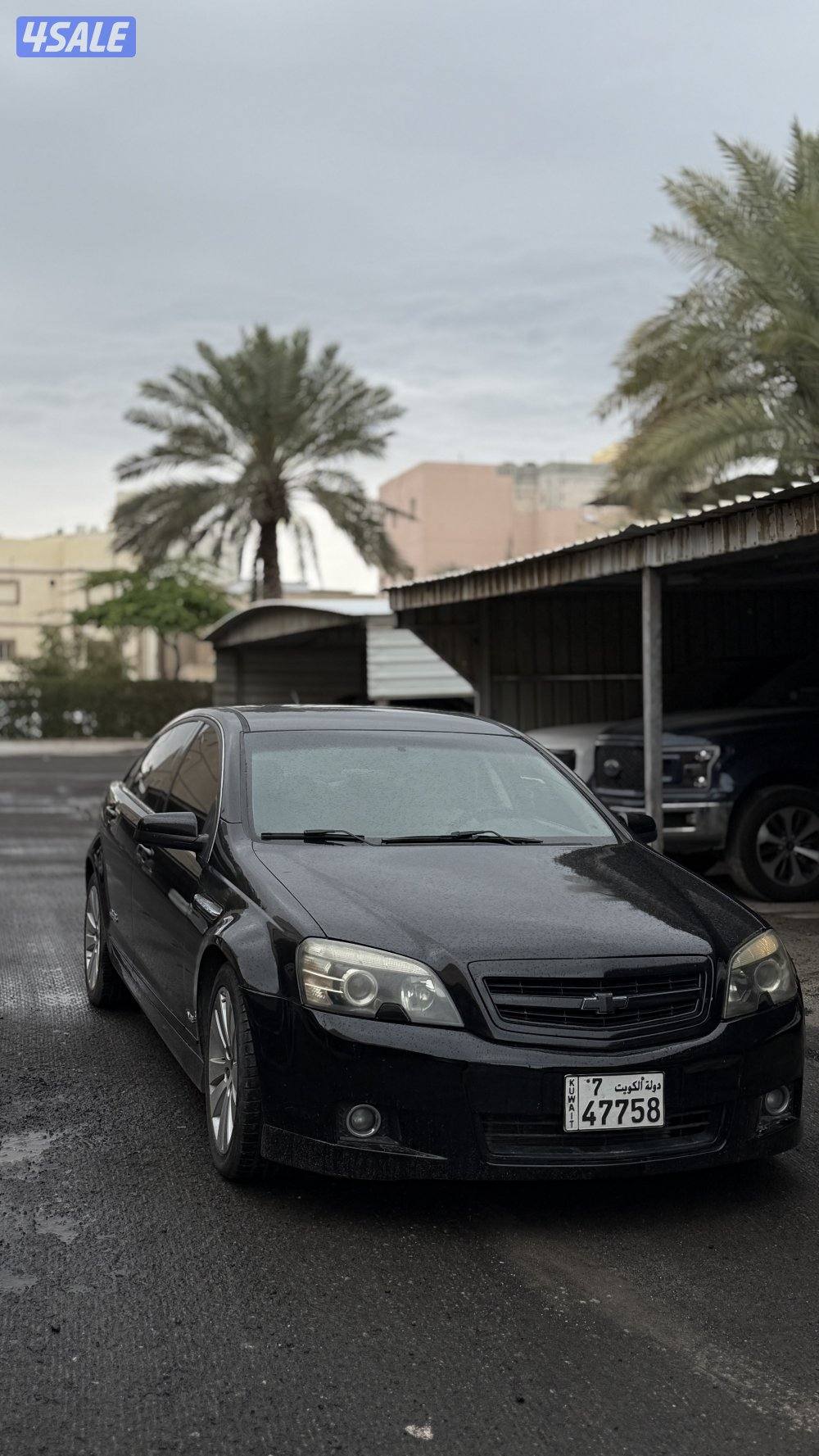 كابرس اس اس اصلي ٢٠١٠4