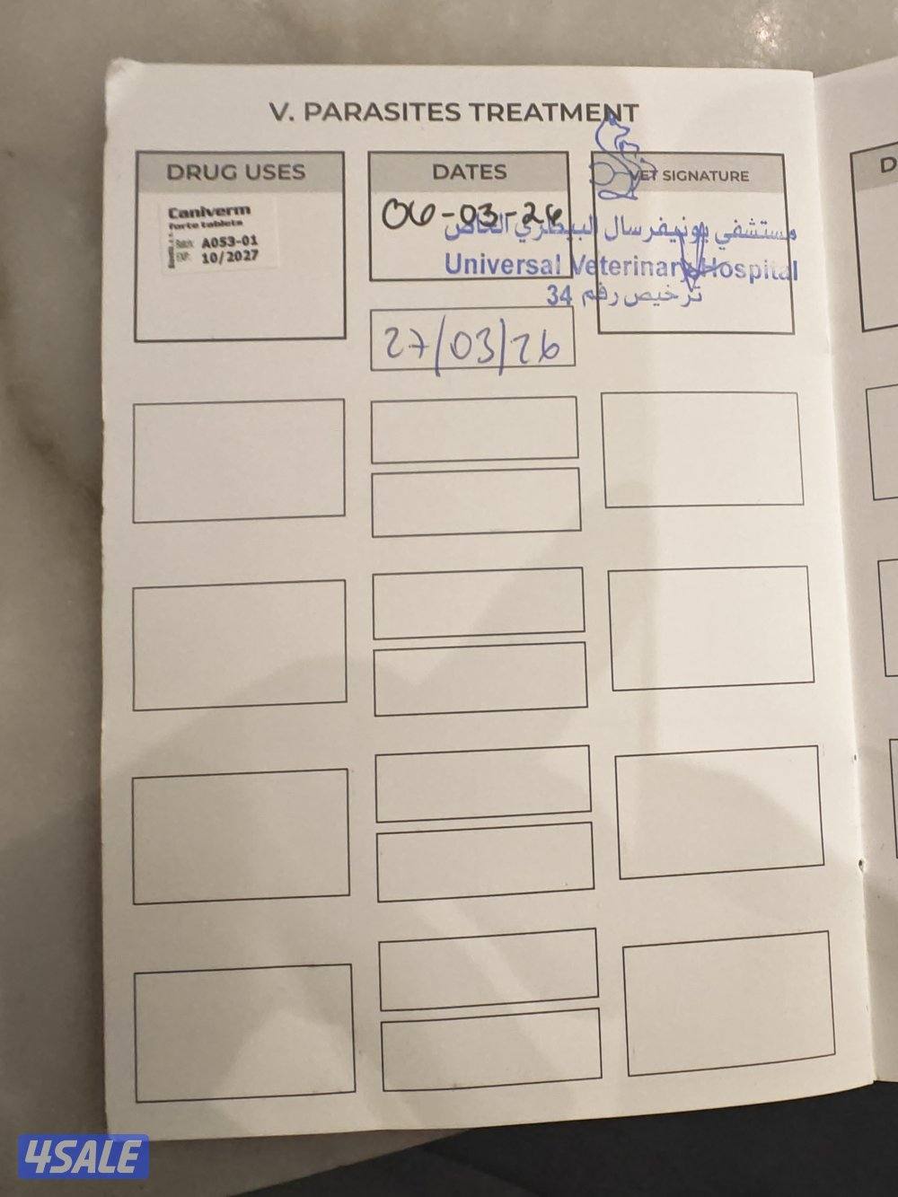 بودل أصلي أوكرانيا ذكر العمر ثمانية شهور3