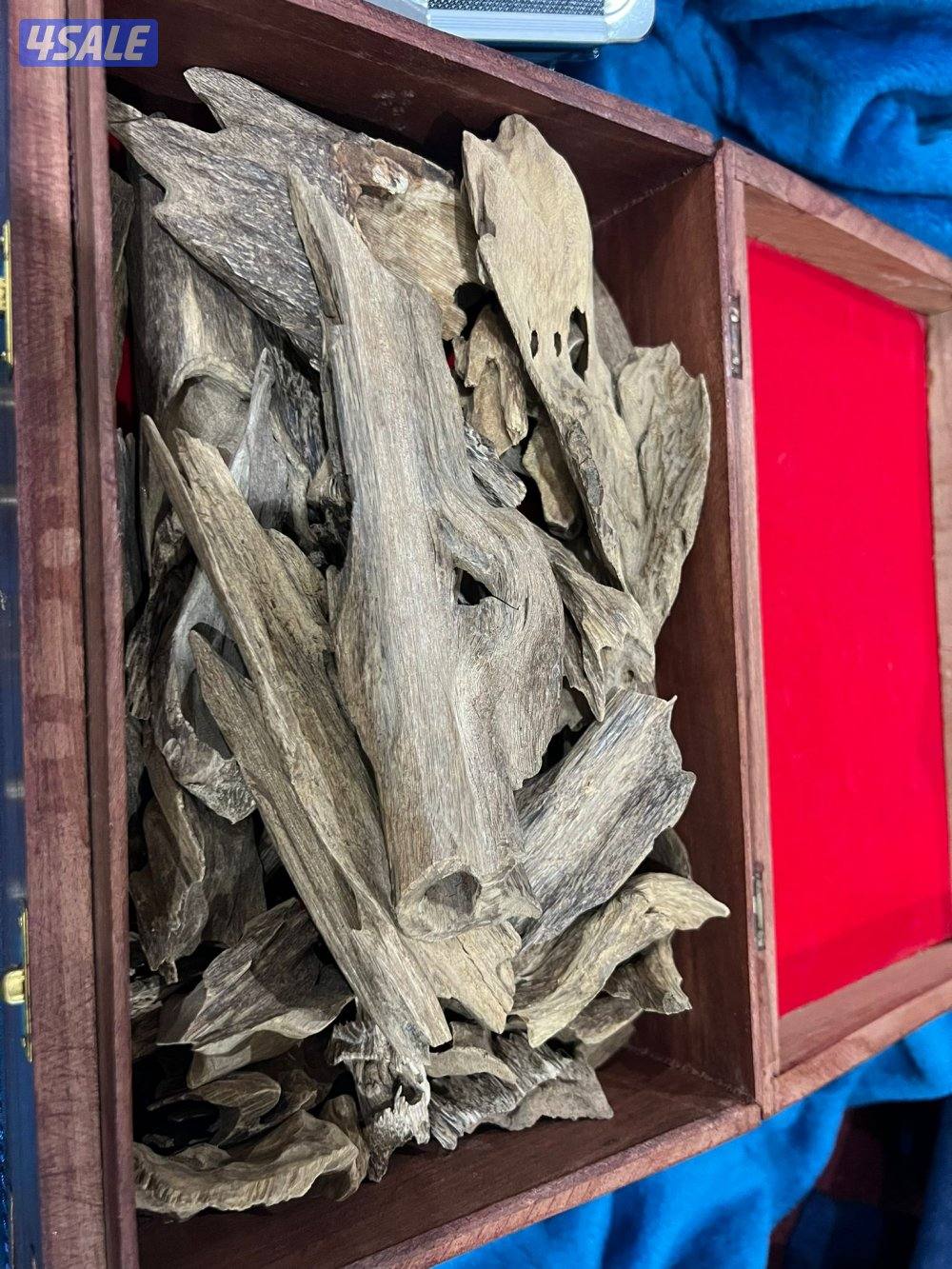 للبيع مروكي طبيعي درجات عاليه مروكي حي فلبين قديم0