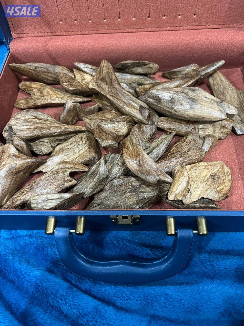 للبيع مروكي طبيعي درجات عاليه مروكي حي فلبين قديم2