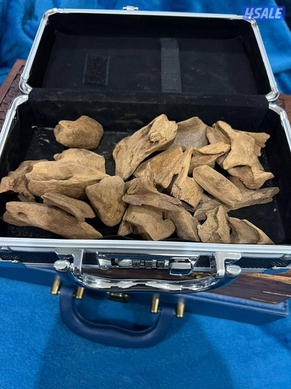 للبيع مروكي طبيعي درجات عاليه مروكي حي فلبين قديم5