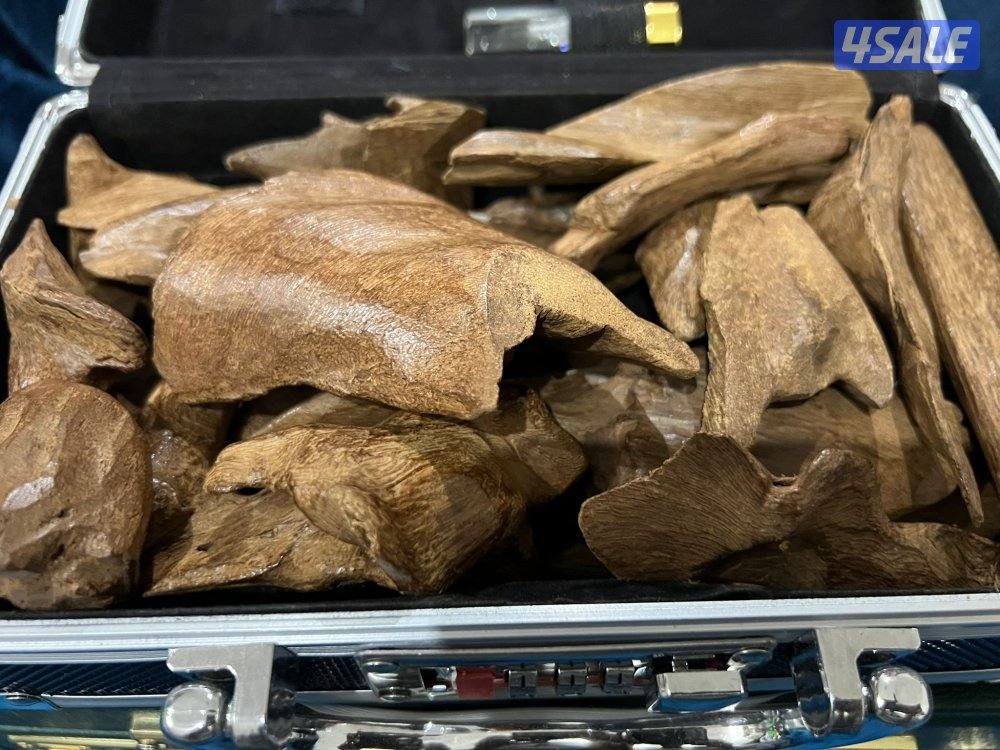 للبيع مروكي طبيعي درجات عاليه مروكي حي فلبين قديم7