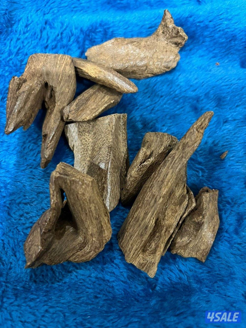 للبيع مروكي طبيعي درجات عاليه مروكي حي فلبين قديم8