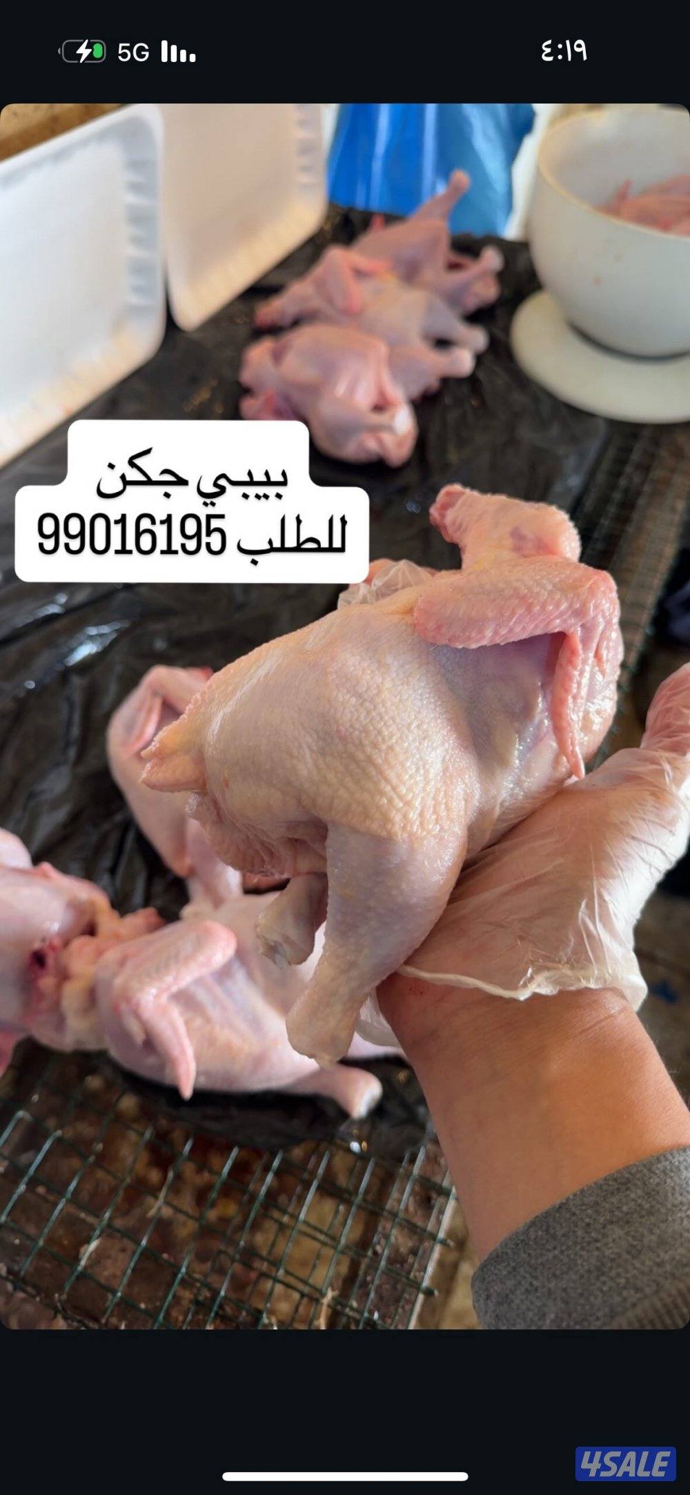 بيبي جكن شرط السمنه والصحه0
