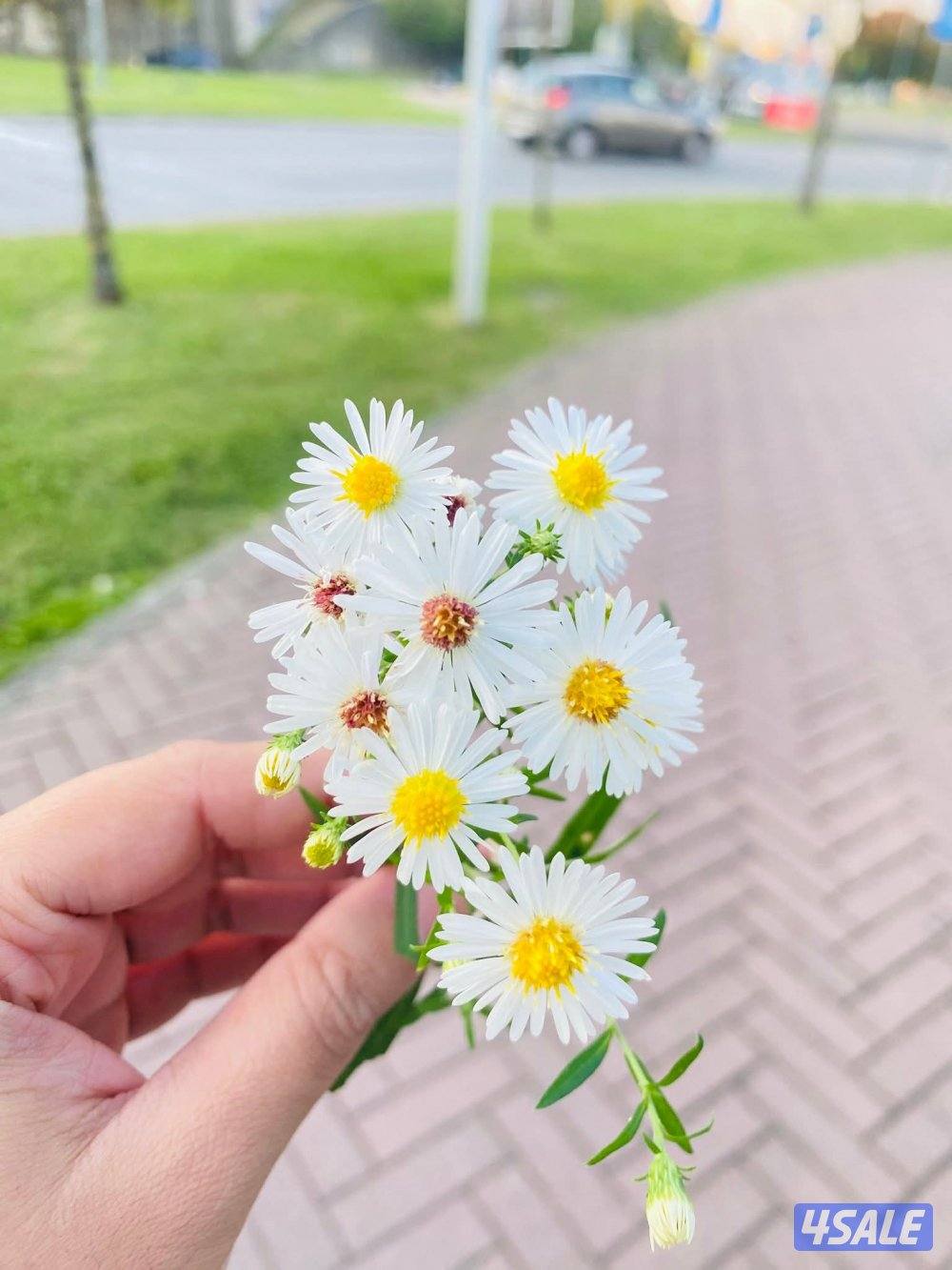 Part Time Joba any work Car available0