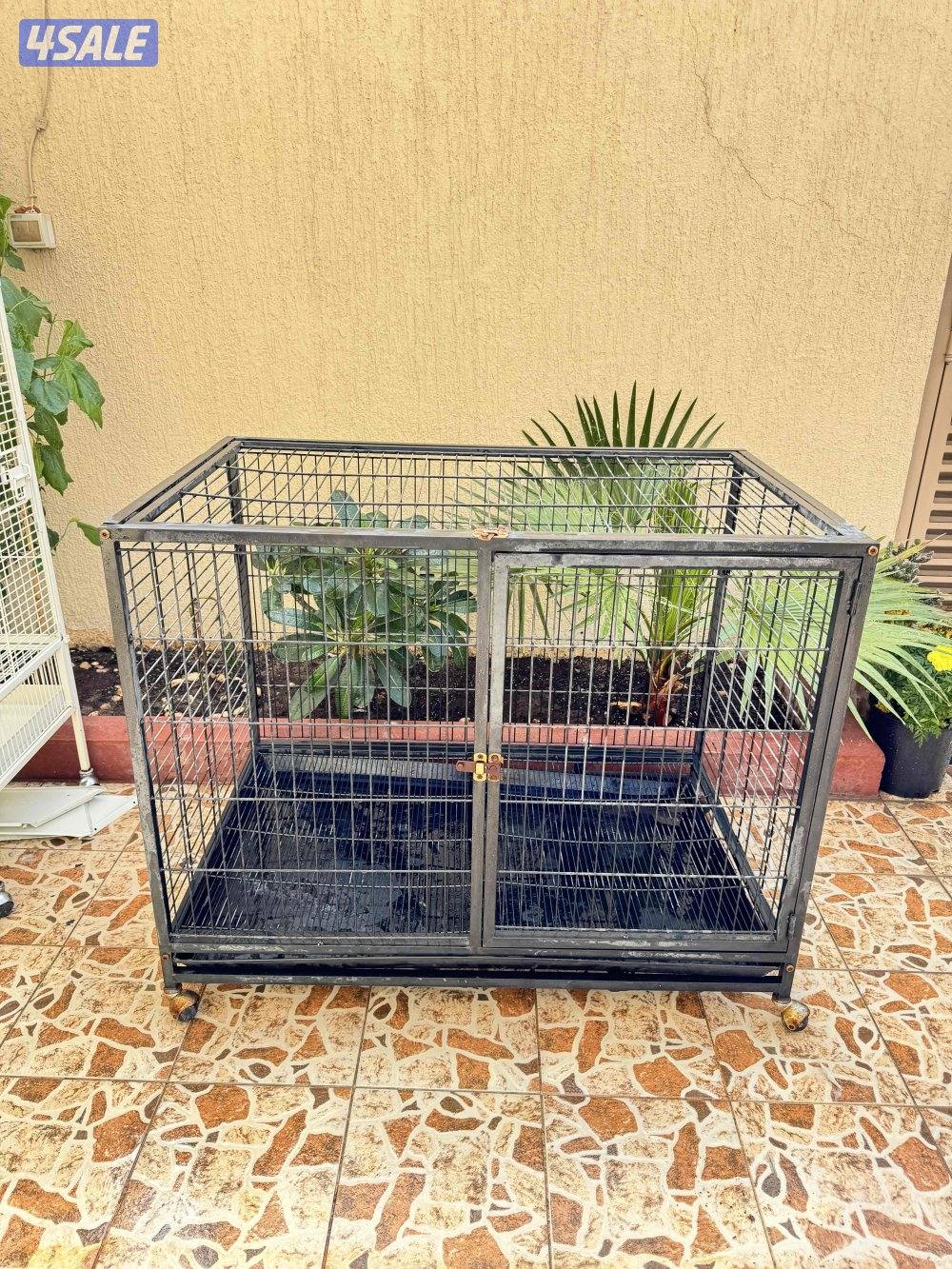 للبيع قفص كاسكو وقفص كلب او قط2