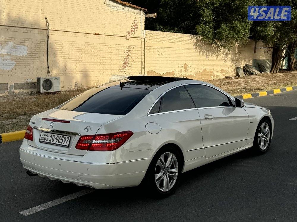 E250-2012 صبغ وكالة جديد0