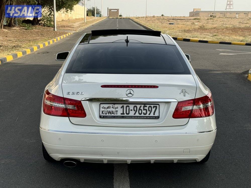 E250-2012 صبغ وكالة جديد1