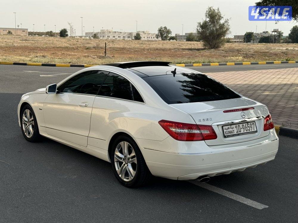 E250-2012 صبغ وكالة جديد2