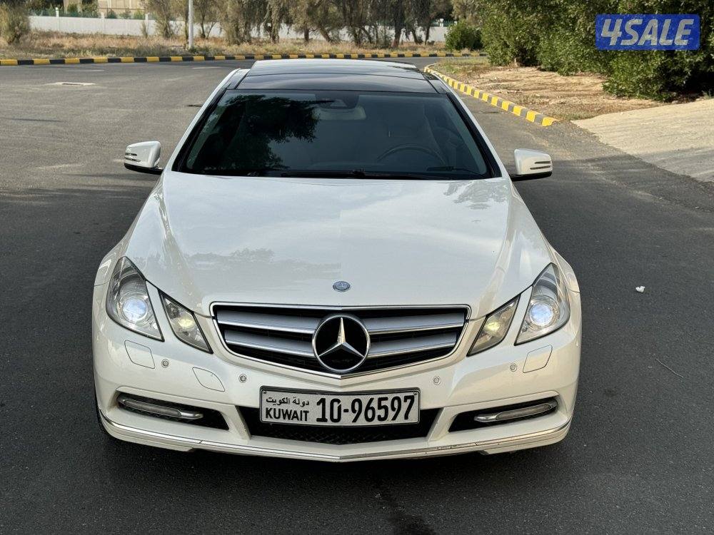 E250-2012 صبغ وكالة جديد3