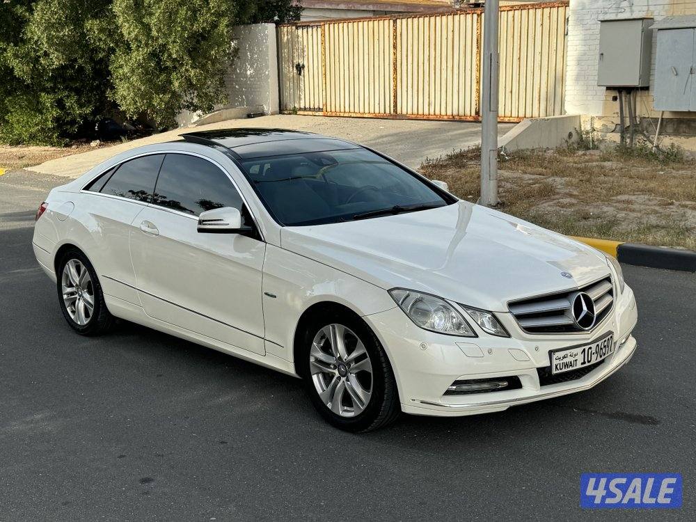 E250-2012 صبغ وكالة جديد4