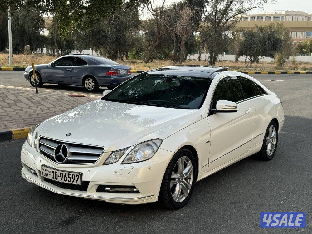 E250-2012 صبغ وكالة جديد5