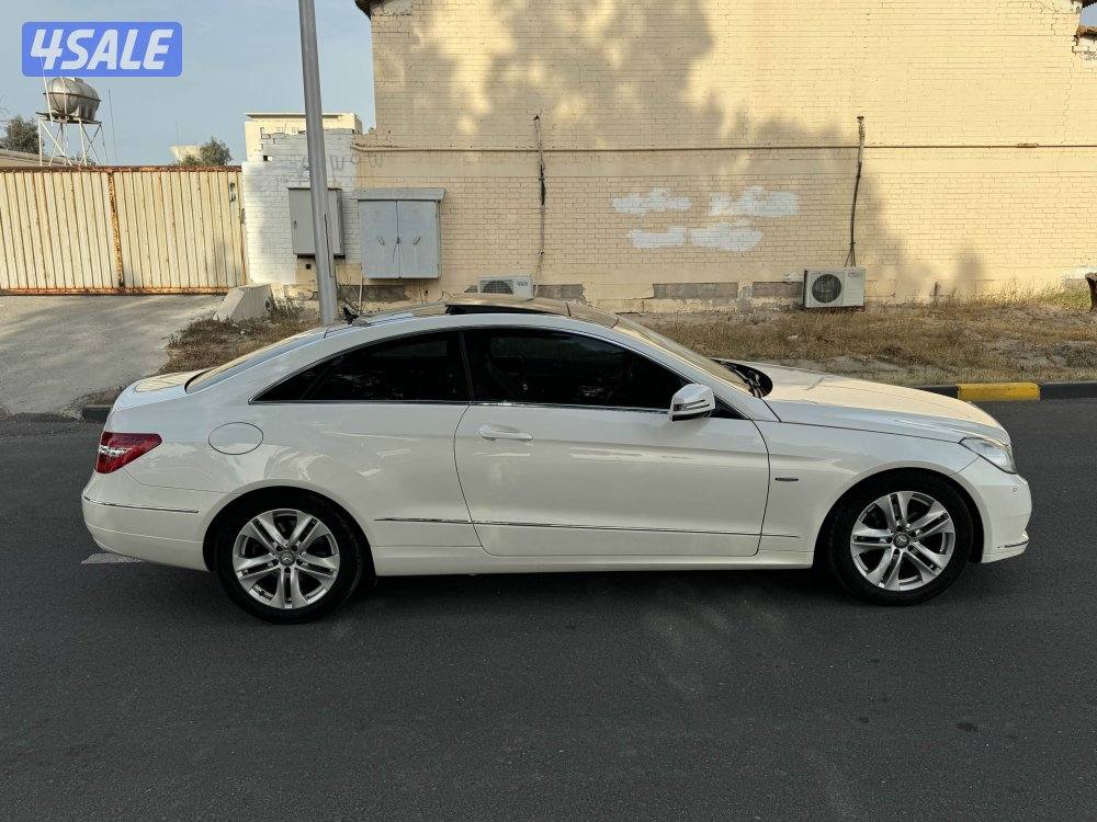 E250-2012 صبغ وكالة جديد6