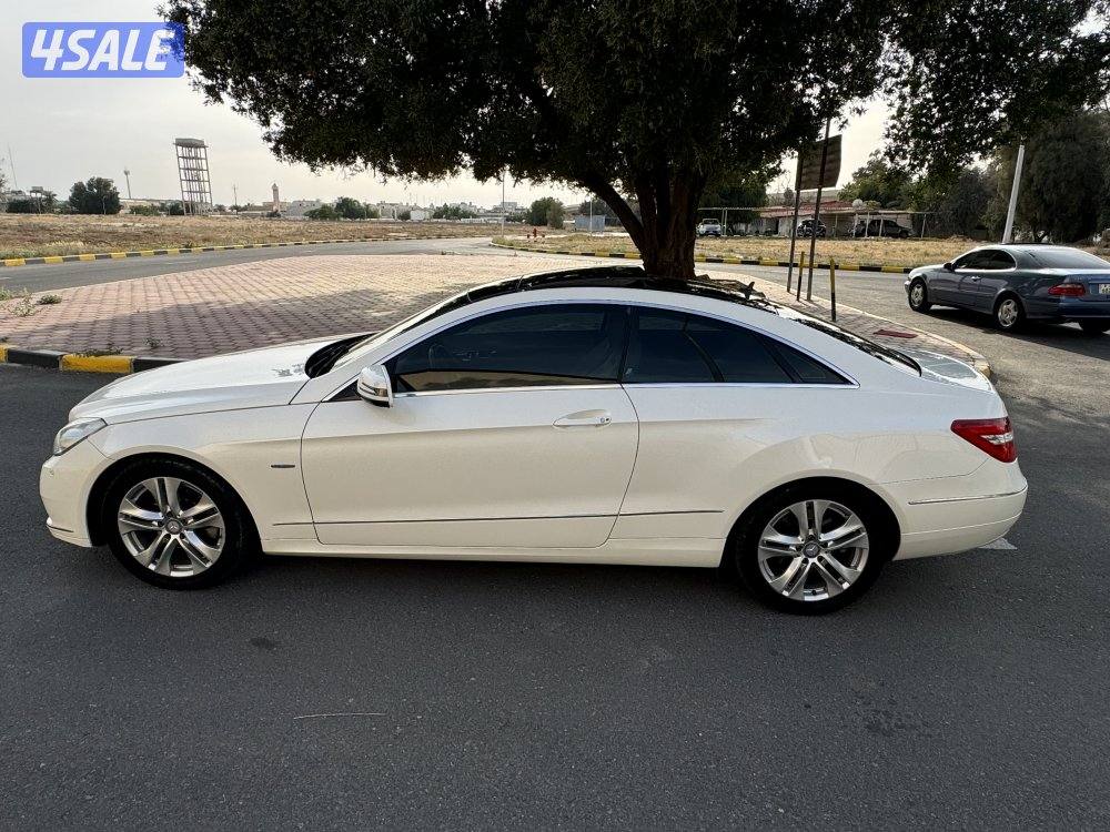 E250-2012 صبغ وكالة جديد7