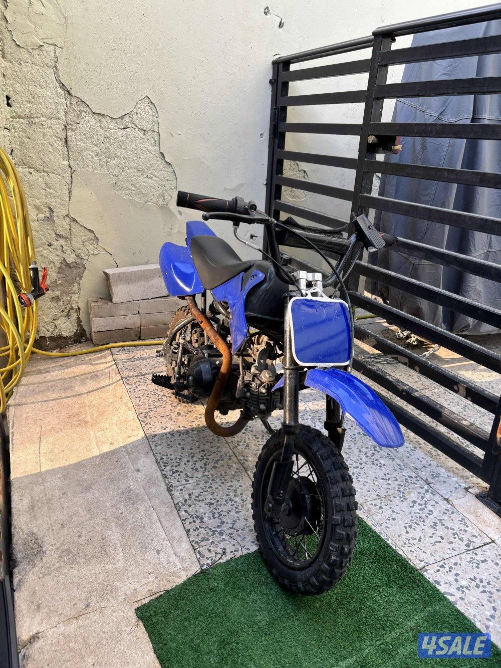 واتساب فقط1