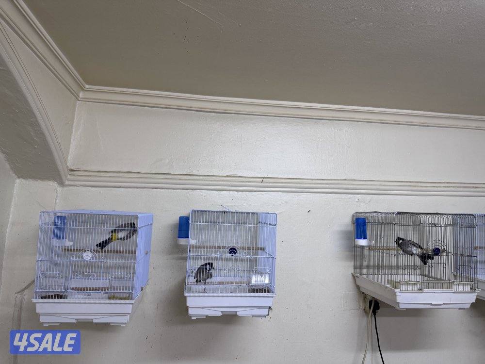 الاتصال على الواتساب0