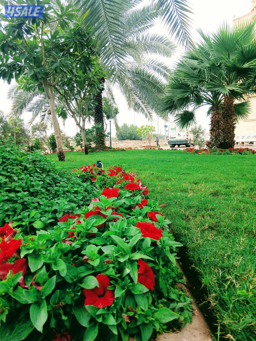 مهندس زراعي لتنفيذ وصيانة وتنسيق الحدائق وتركيب شبكات الري2