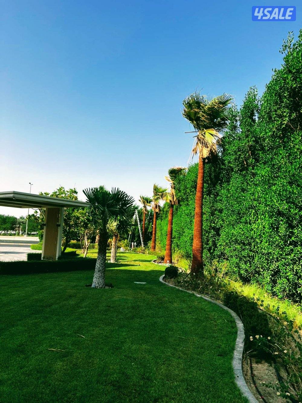 مهندس زراعي لتنفيذ وصيانة وتنسيق الحدائق وتركيب شبكات الري4