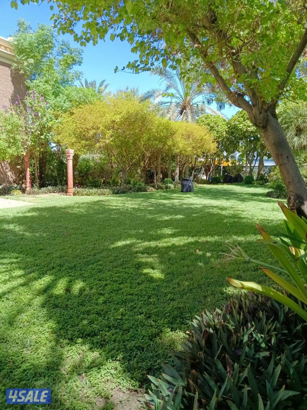 مهندس زراعي لتنفيذ وصيانة وتنسيق الحدائق وتركيب شبكات الري5