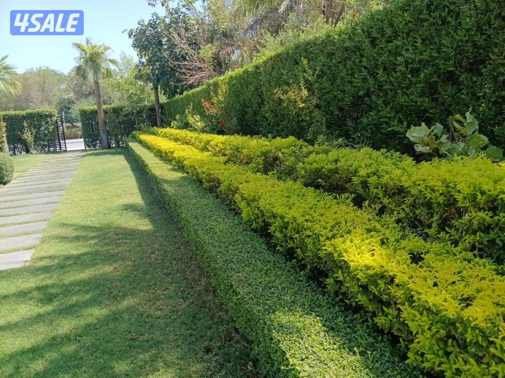 مهندس زراعي لتنفيذ وصيانة وتنسيق الحدائق وتركيب شبكات الري7