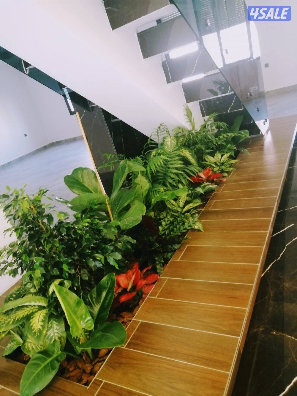 مهندس زراعي لتنفيذ وصيانة وتنسيق الحدائق وتركيب شبكات الري10