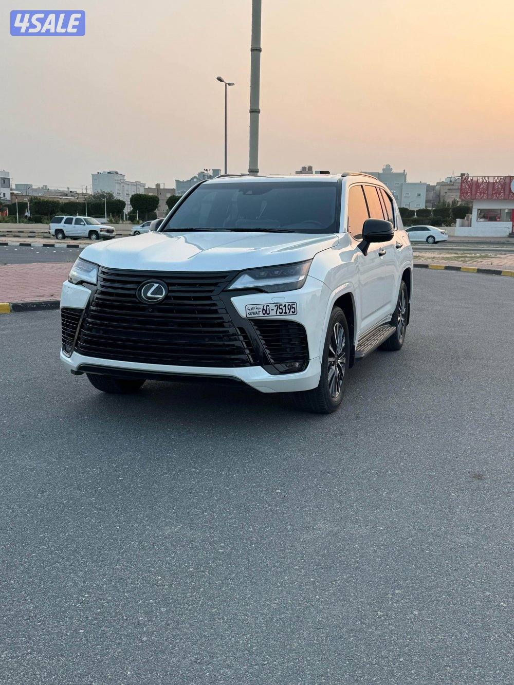 الساير صبغ الوكالة0