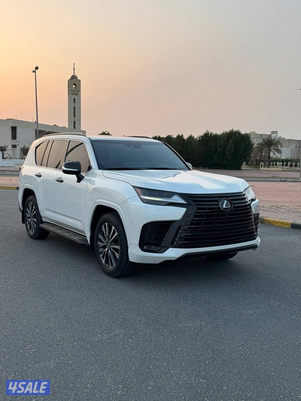 الساير صبغ الوكالة1