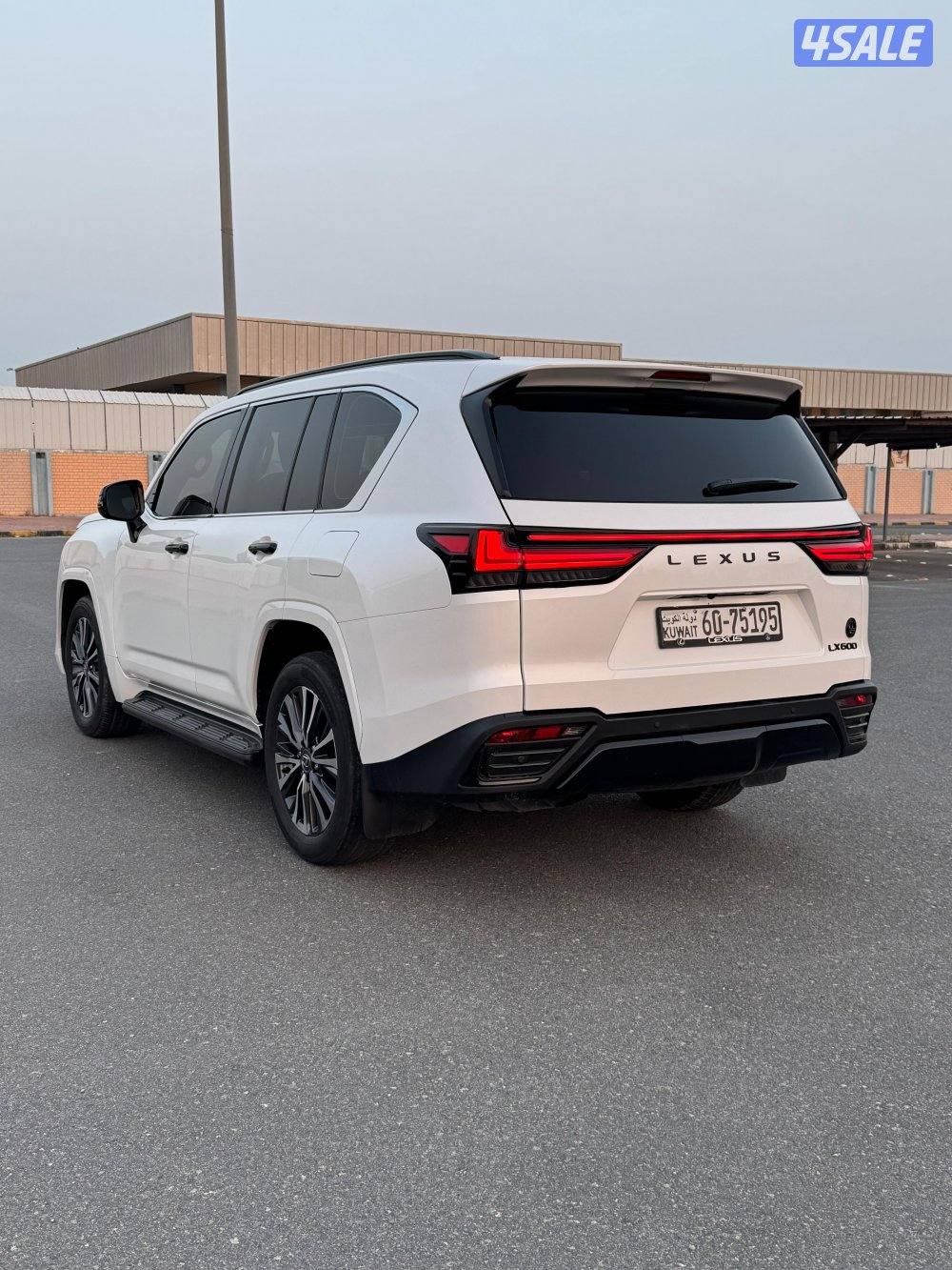 الساير صبغ الوكالة3