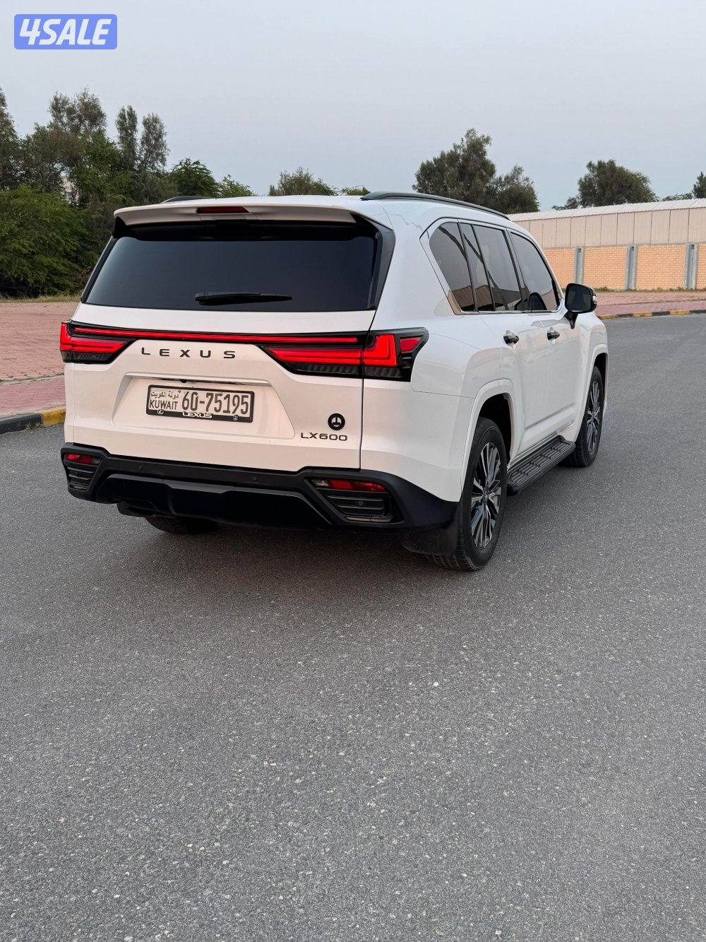 الساير صبغ الوكالة4