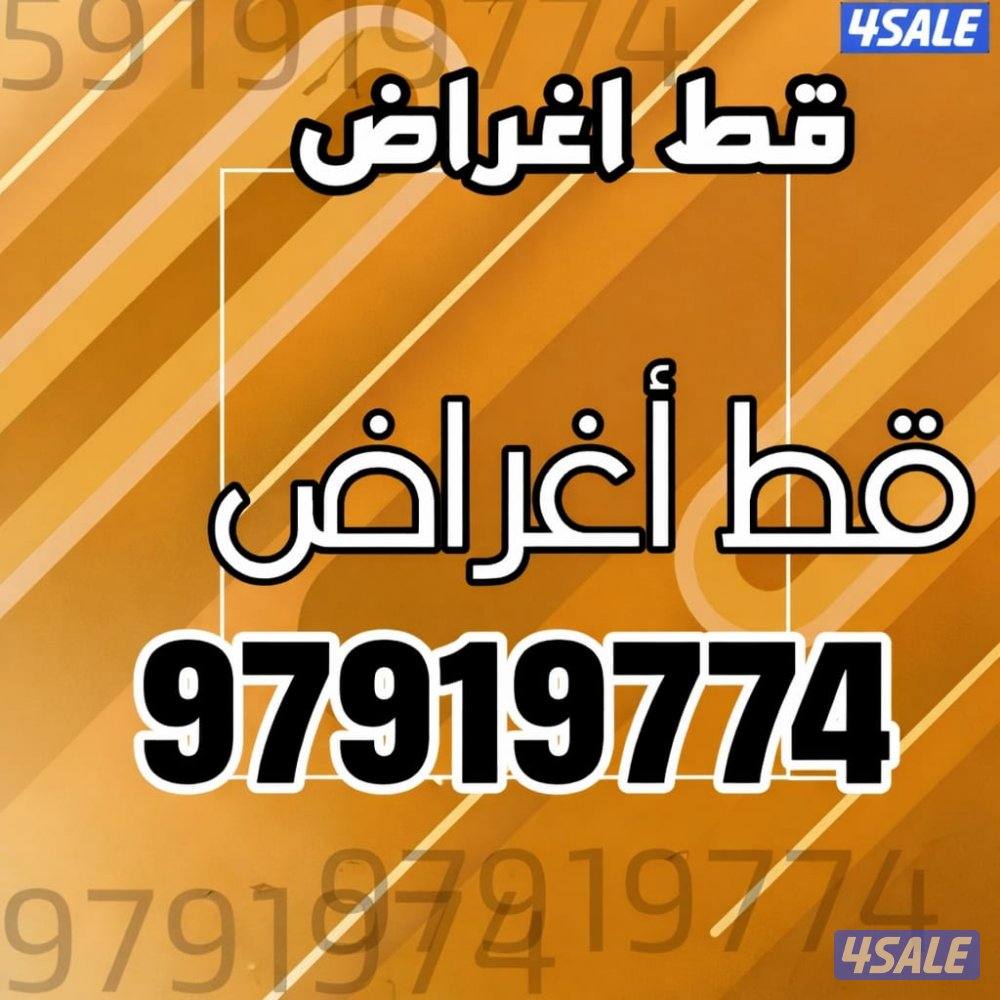 قط@اغراض@قط@اغراض@قط@اغراض@قط@اغراض2