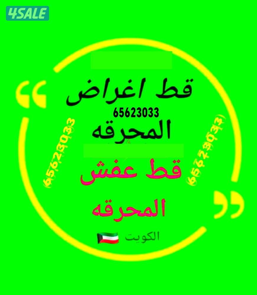 قط@اغراض@قط@اغراض@قط@اغراض@قط@اغراض9