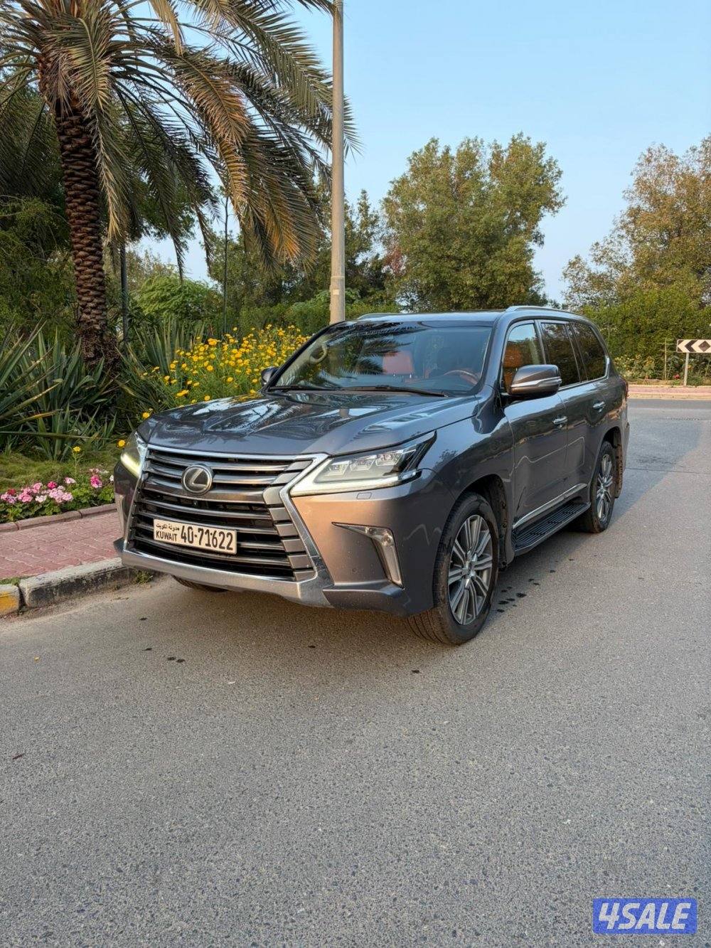 صبغ الوكاله بالكامل0