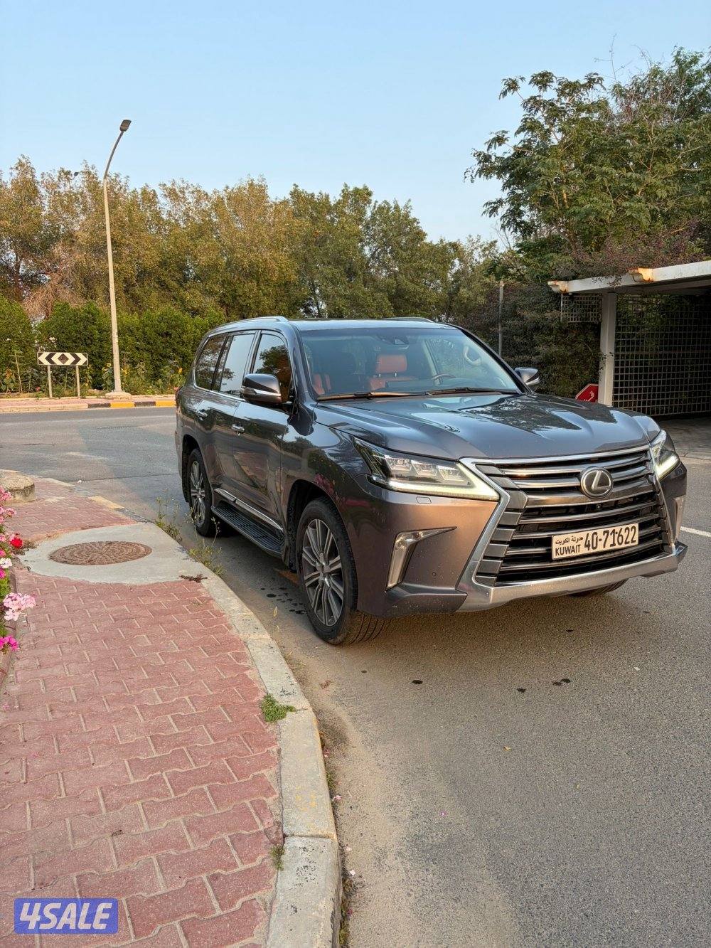 صبغ الوكاله بالكامل1