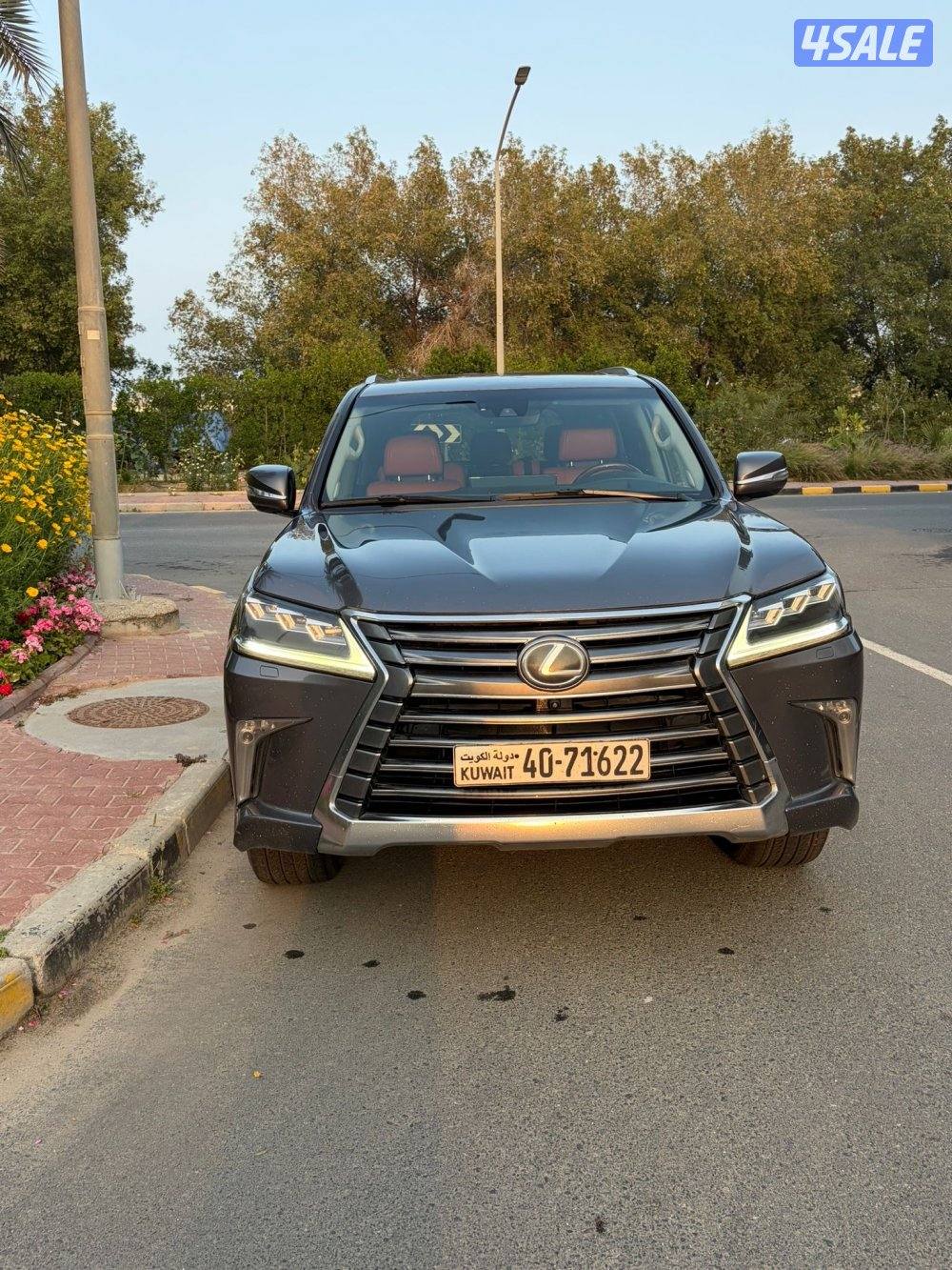 صبغ الوكاله بالكامل3