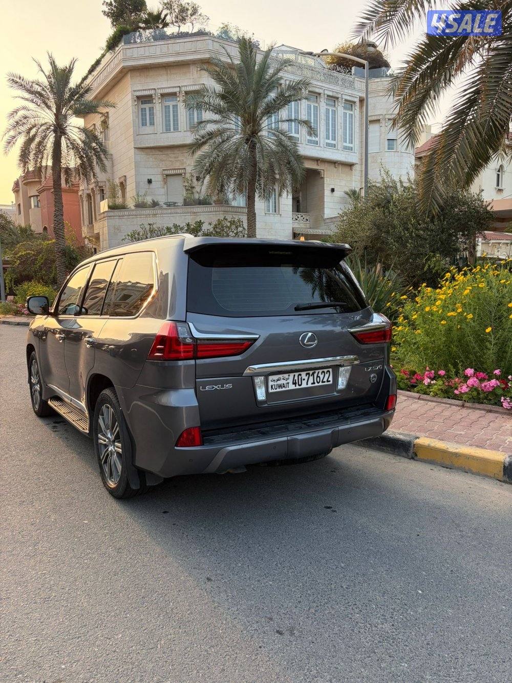 صبغ الوكاله بالكامل4