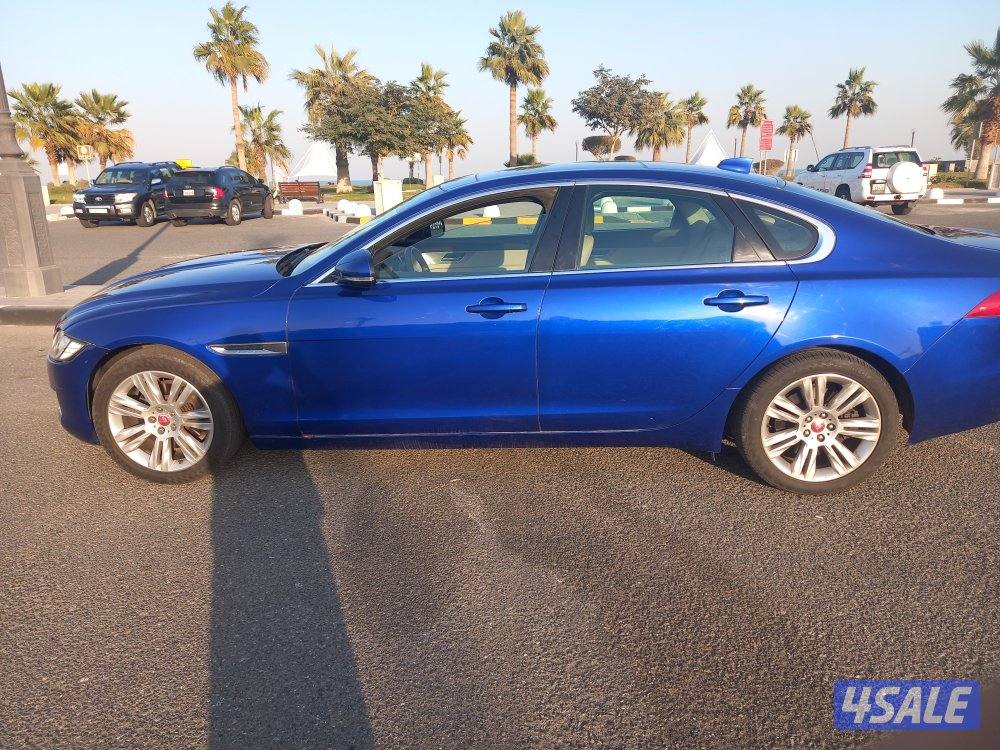 جاكوار XF مميز2