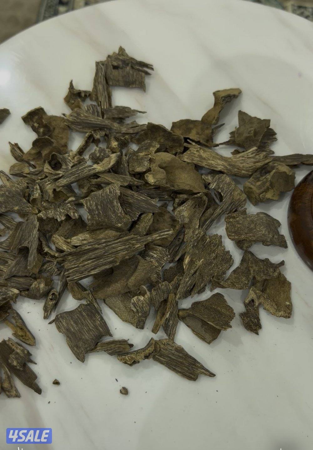 عود ماليزي ترنغانو تربل0