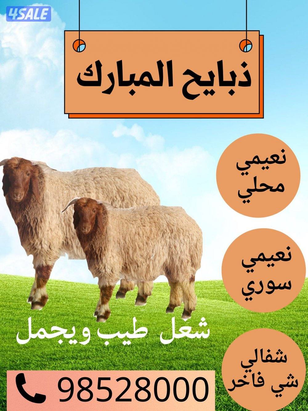 طليان ذبايح طيبه محليه العمر منشهرين ونص الى 3وزود شامل الذبح والتوصيل0