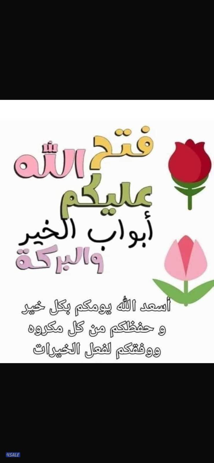 تلفزيون ٥٥ بورصه0