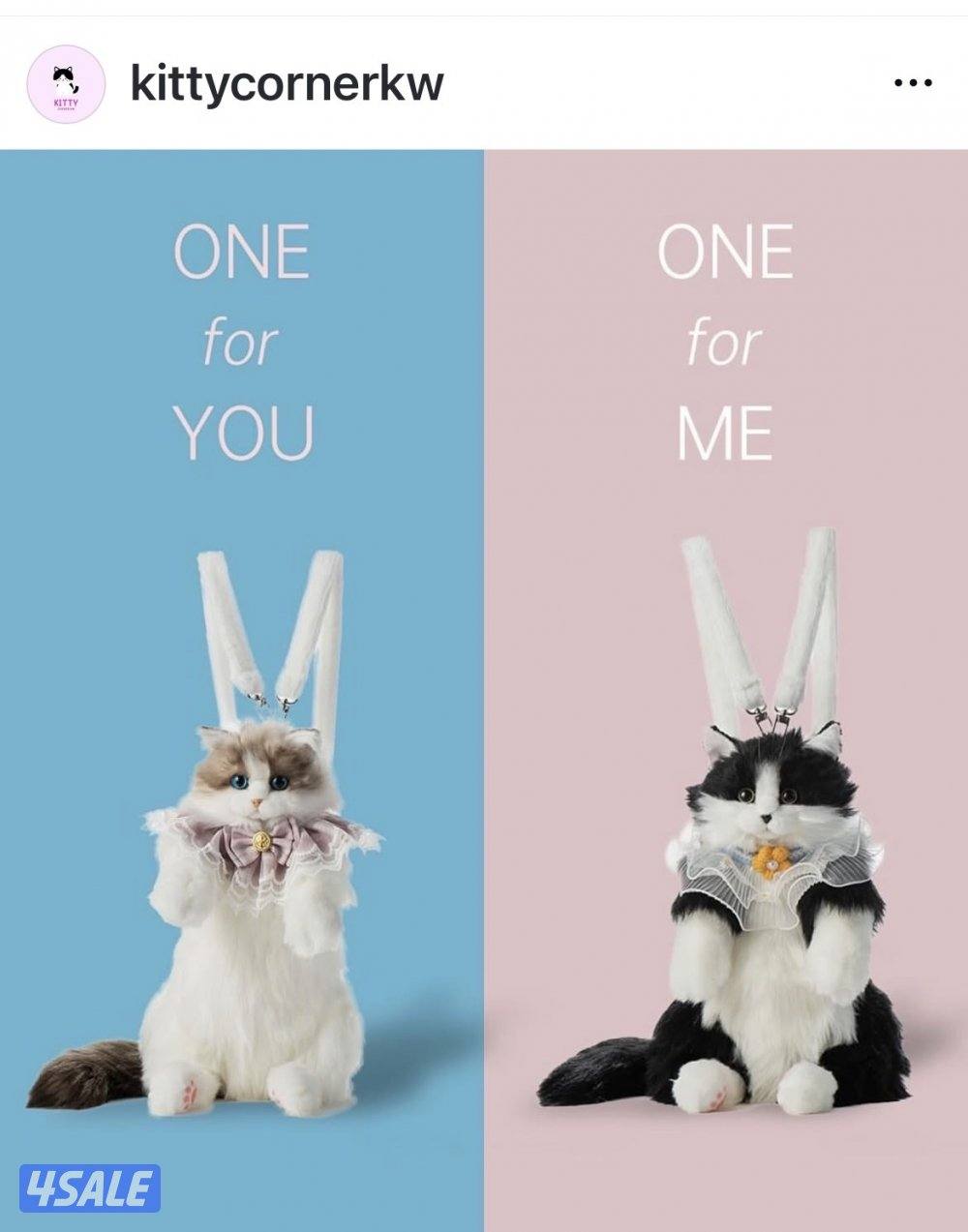 هدية العيد لأبناءنا حقائب على شكل قطط جميلة حصريه لدينا مع ملحقاتها1