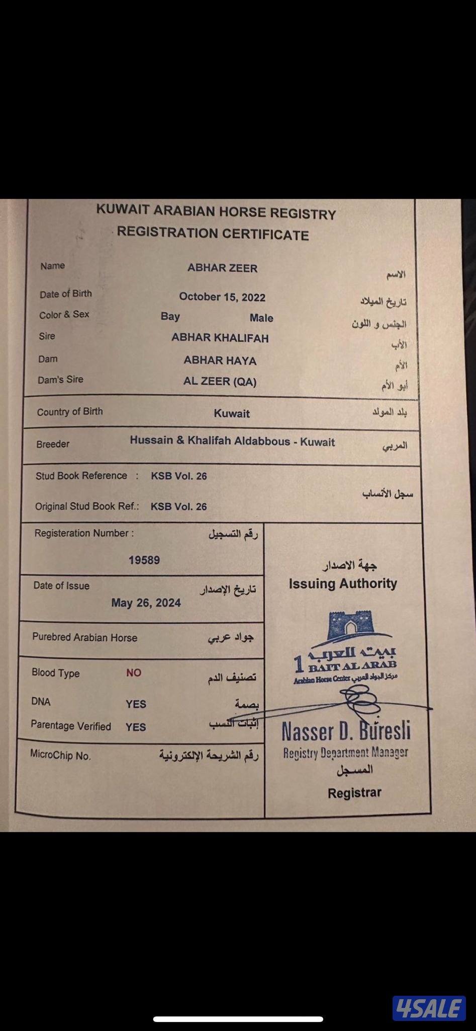 بولش شرط السلم1