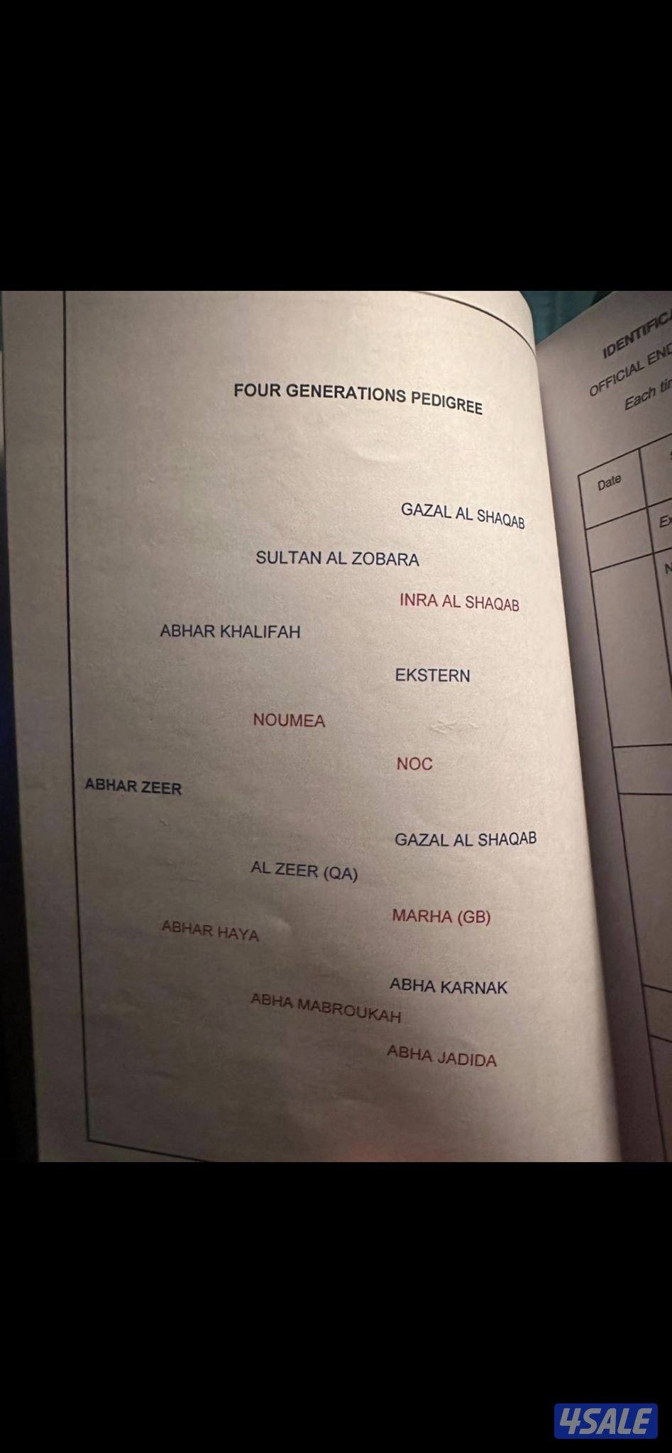 بولش شرط السلم2