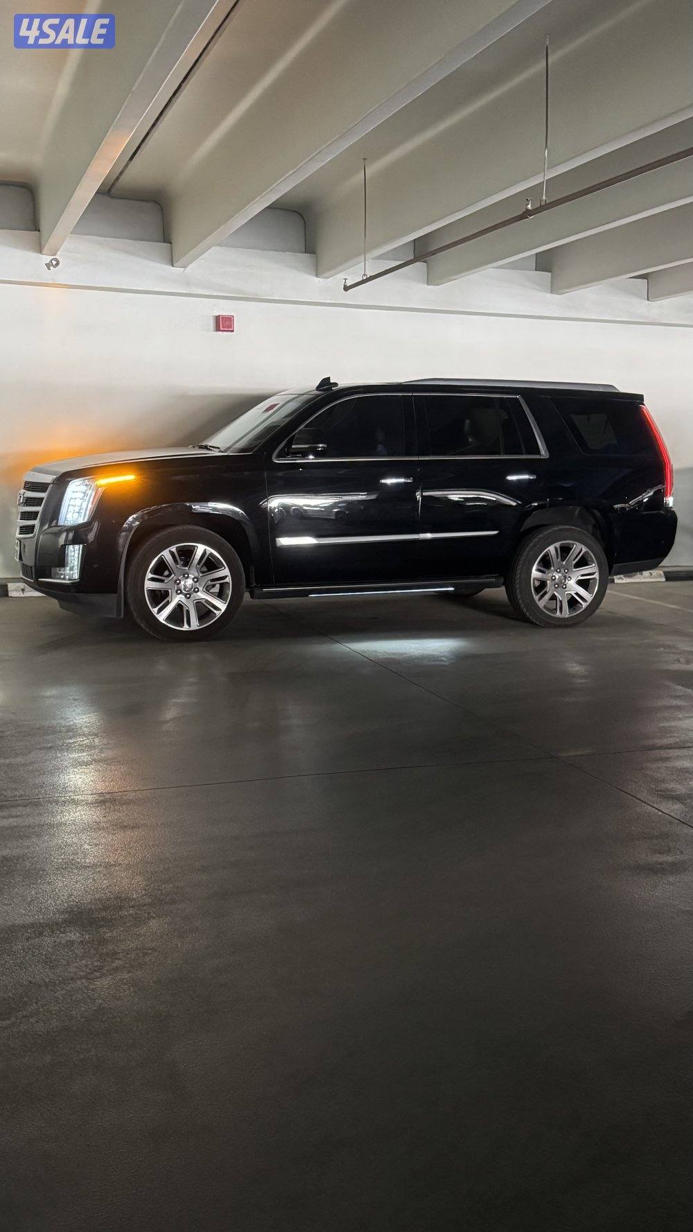 اسكاليد للبيع1