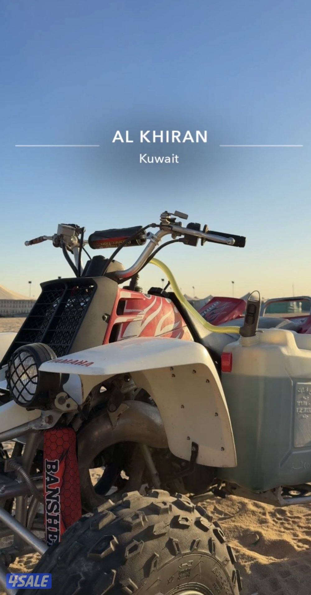 بانشي ٢٠٠٩1