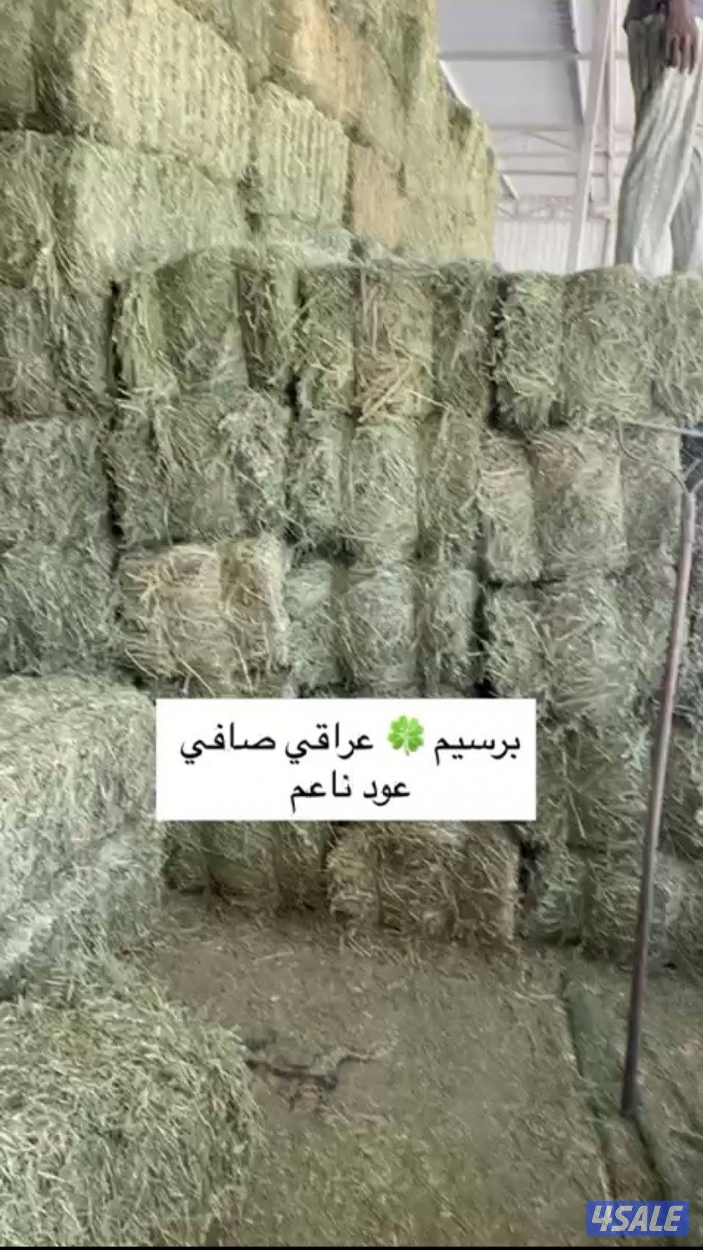 للبيع برسيم عراقي صافي عود ناعم ورق كما يوجد لدينا  اتبان0