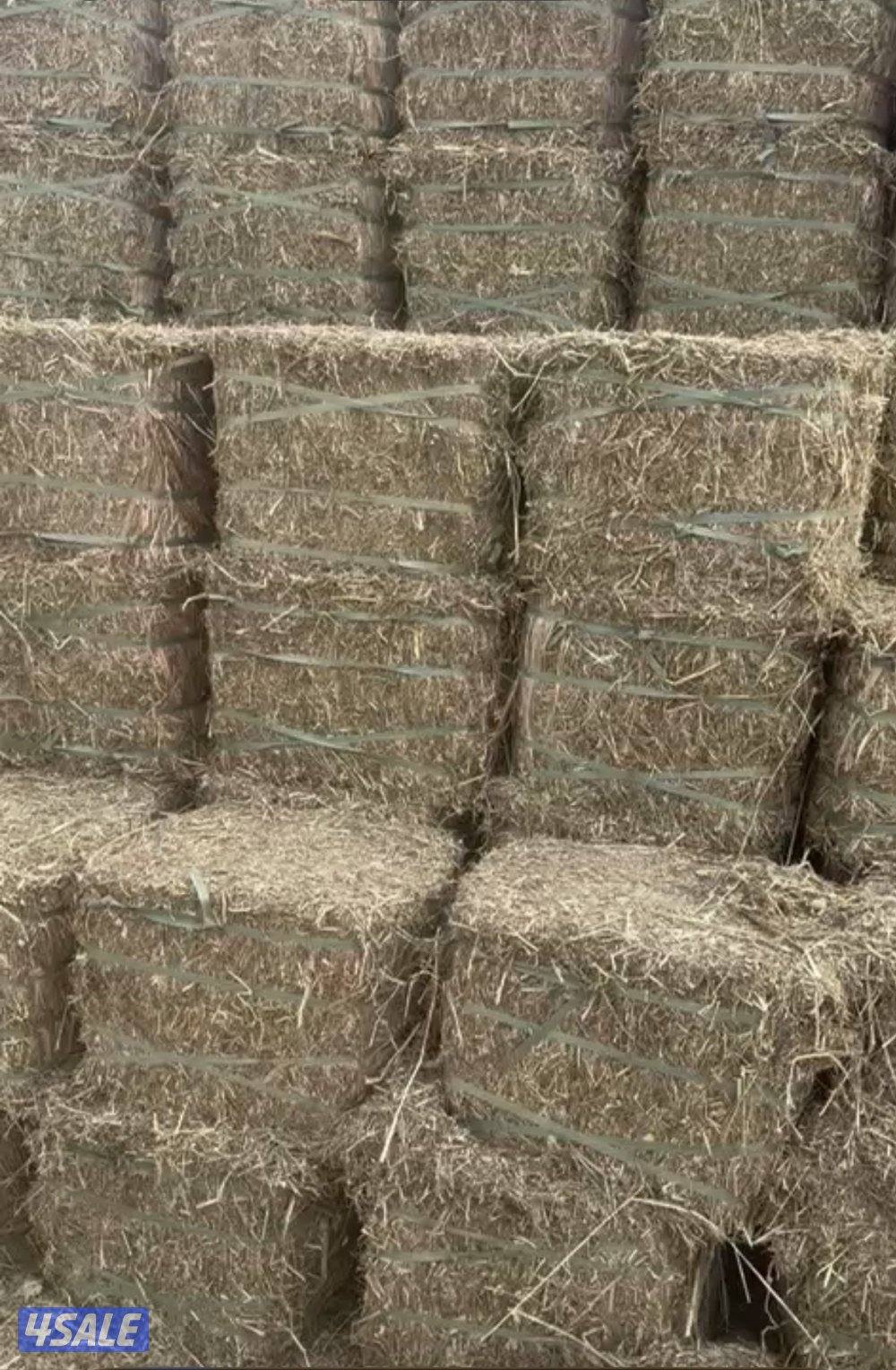 للبيع برسيم عراقي صافي عود ناعم ورق كما يوجد لدينا  اتبان1