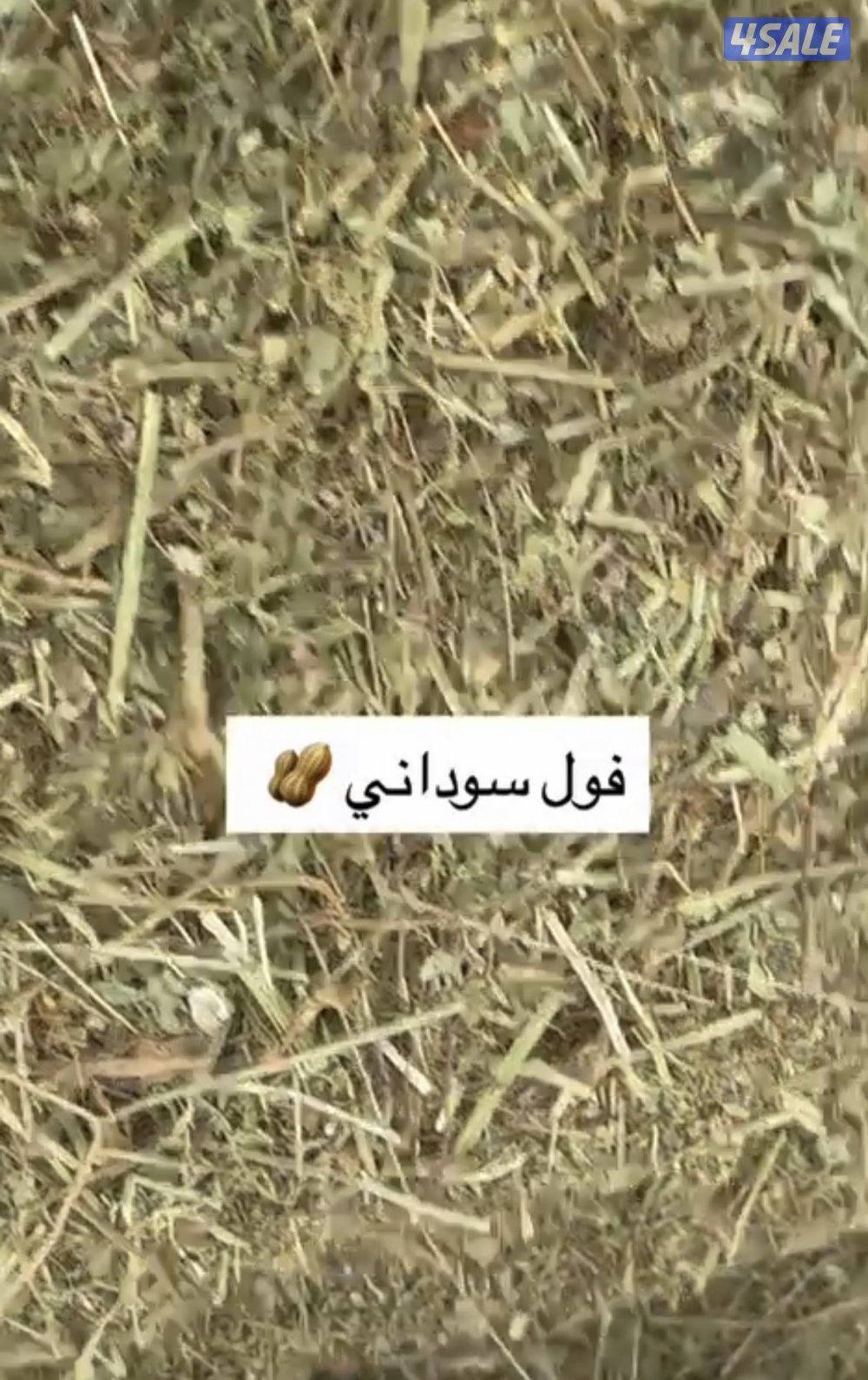 للبيع برسيم عراقي صافي عود ناعم ورق كما يوجد لدينا  اتبان2