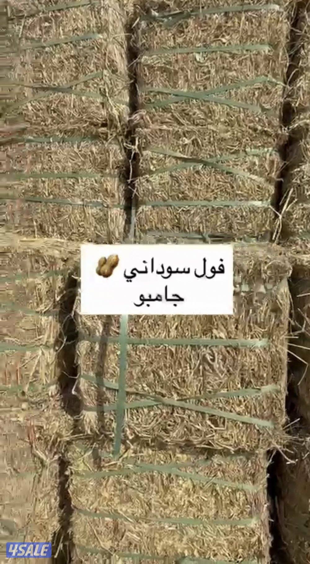 للبيع برسيم عراقي صافي عود ناعم ورق كما يوجد لدينا  اتبان3