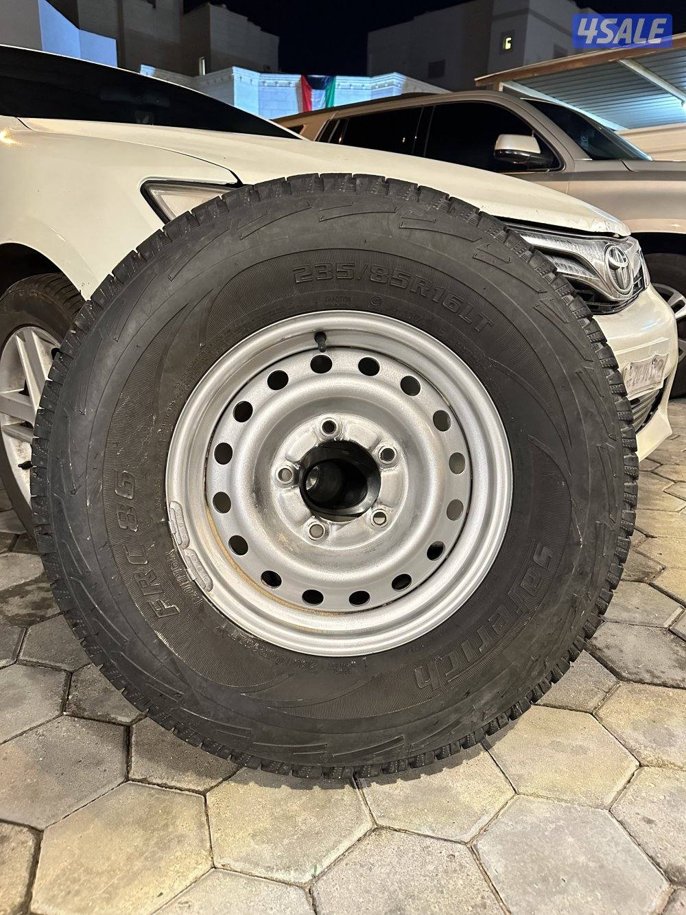 رنقات و شواهين0